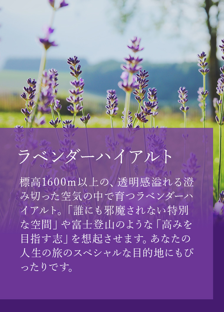 日本全国香りの旅2024天然精油で創るアロマパルファンレッスン　ラベンダー